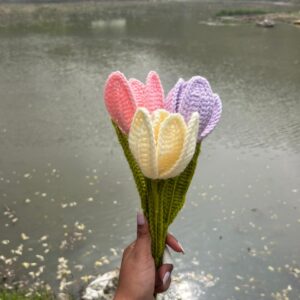 Tulip (open)