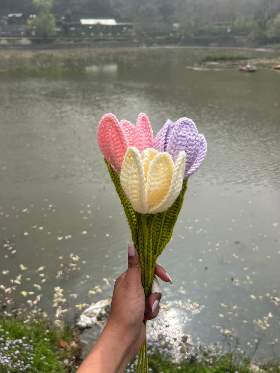 Tulip (open)