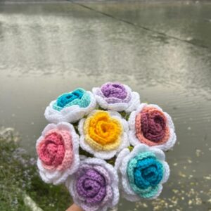 Multi Color Rose