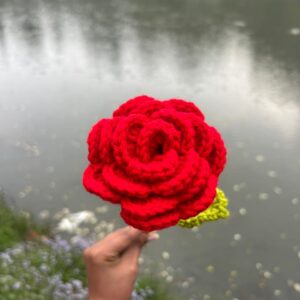 Red Rose