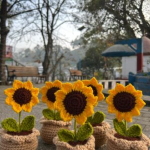 Sunflower pot