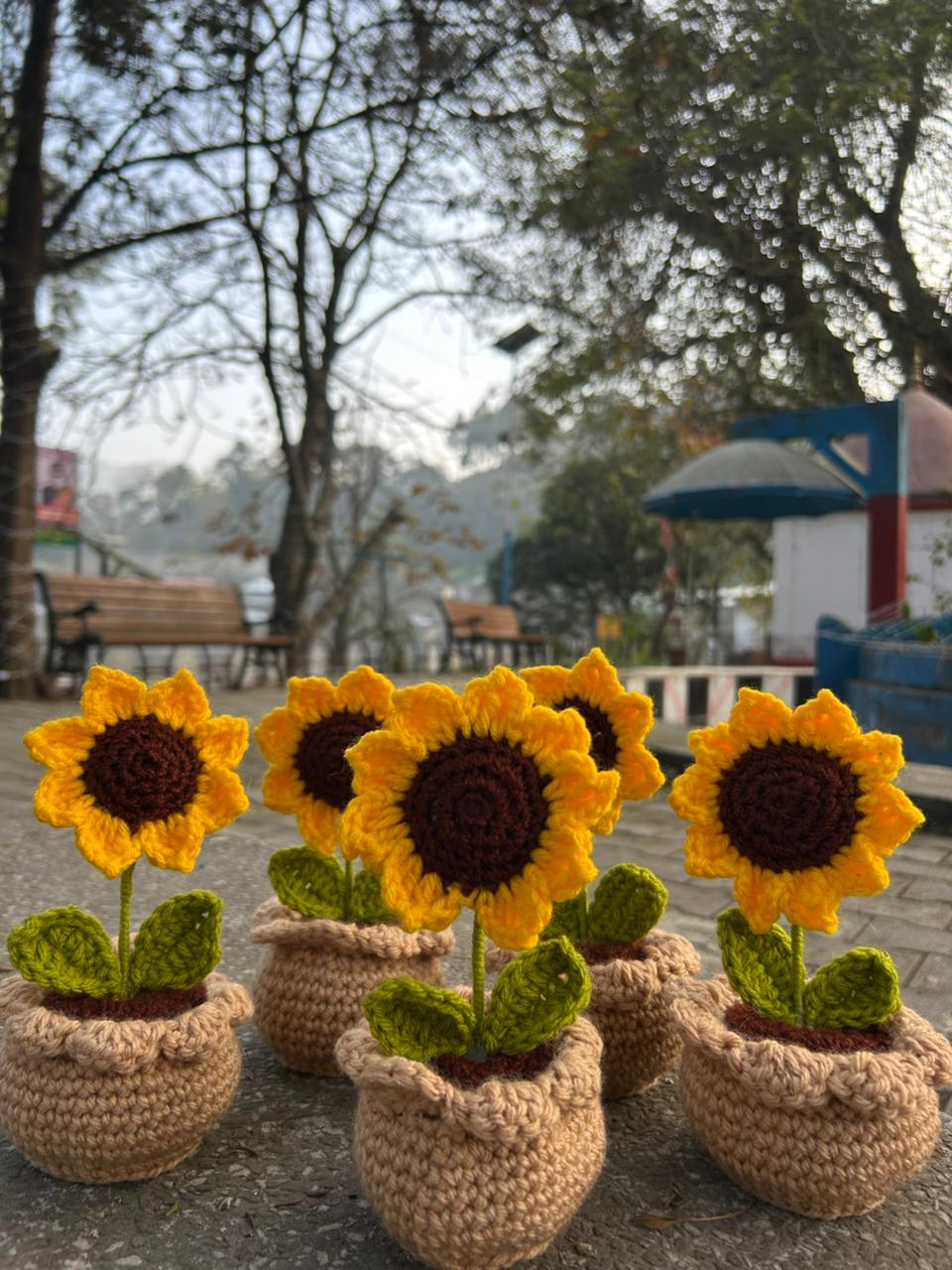Sunflower pot