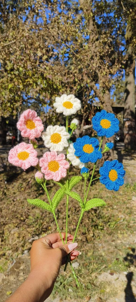 Daisy Bunch