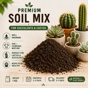 Succulent & Cactus Potting Soil Mix
